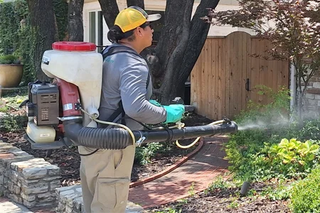 spraying for mosquitoes around home