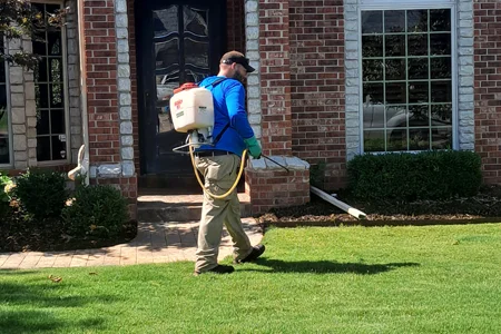 spraying lawn