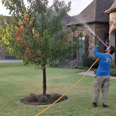 spraying-tree-in-front-of-home