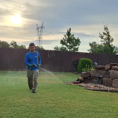 spraying lawn for weeds