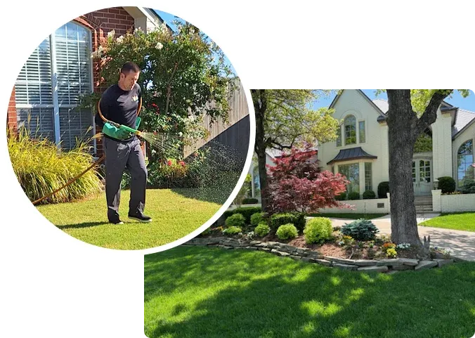 spraying lawn