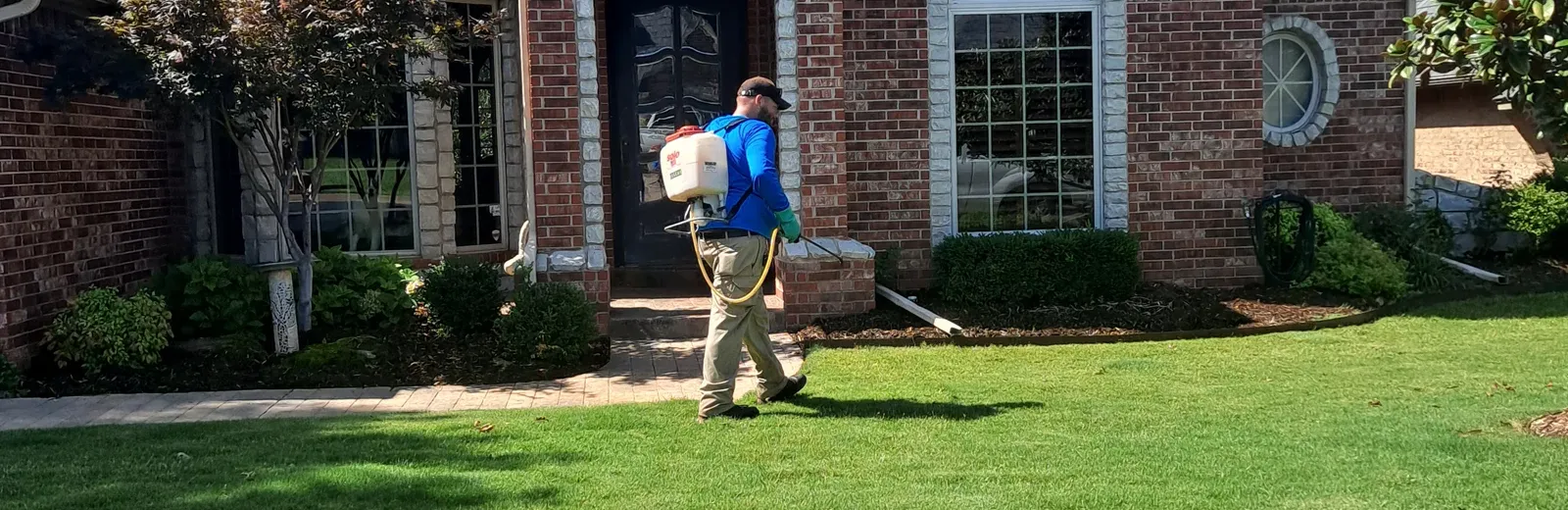 spraying lawn