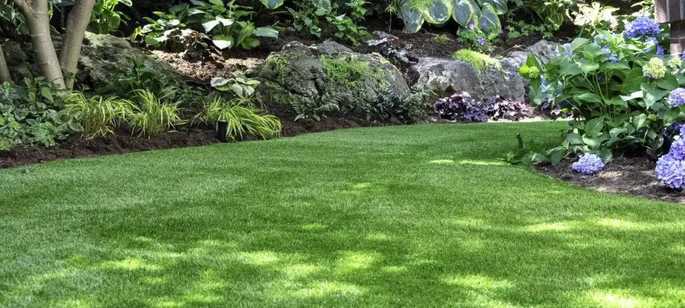 beautiful-lawn