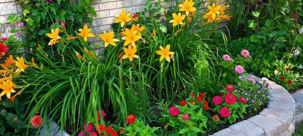 flower bed